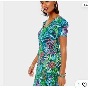 Lilly Pulitzer Aleece Green and Pink Tropical Dress